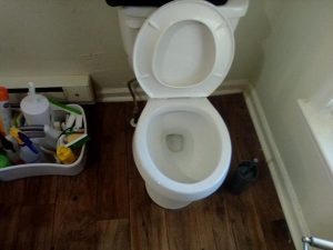 Cleaning in Shepherdstown, WV