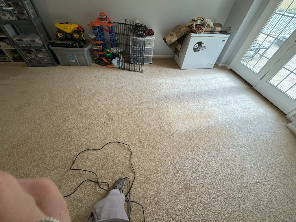 Cleaning in Shepherdstown, WV
