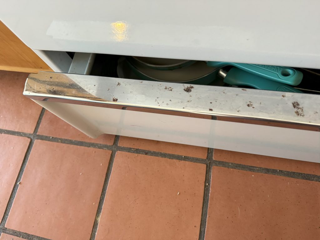 Cleaning in Shepherdstown, WV
