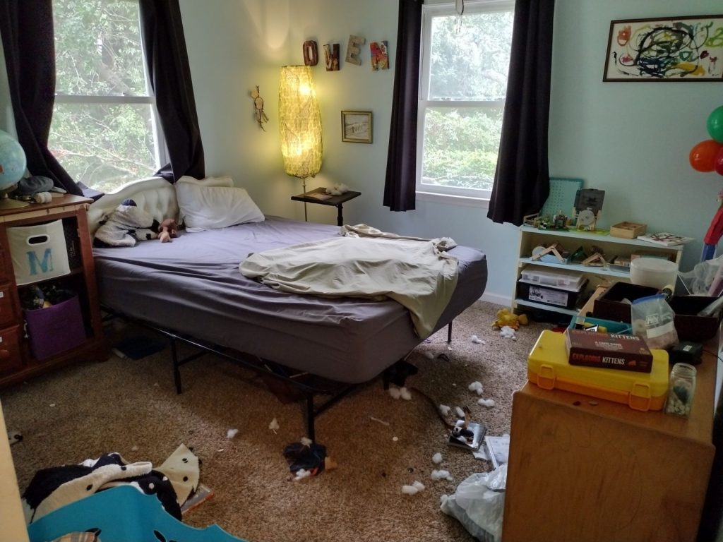Cleaning in Shepherdstown, WV