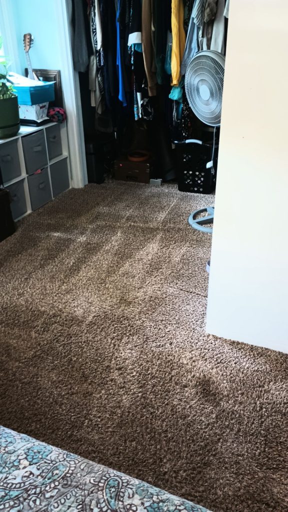 Cleaning in Shepherdstown, WV